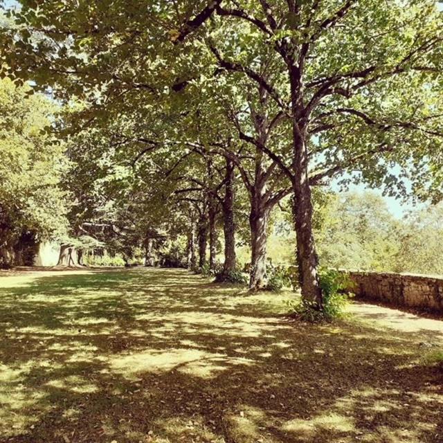 Hotel Domaine de Carrière Marvejols Esterno foto